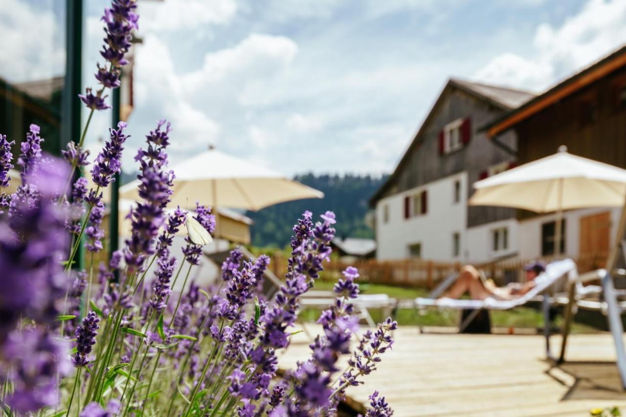 Hirschen Wohlfuehlhotel Schoppernau Ngoại thất bức ảnh